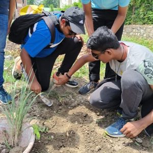Tree Plantation with Alaya Resorts, Kyari Village - Jim Corbett